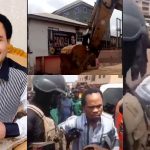 InCollage 20220707 145453015