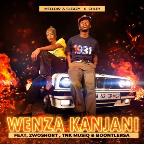Mellow Sleazy – Wenza Kanjani ft. Chley 2woshort TNK MusiQ Boontle RSA