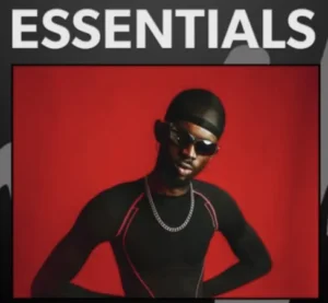 Black Sherif Essentials 300x277 1