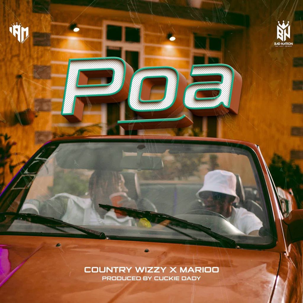 Country Wizzy ft Marioo – Poa