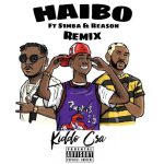 Kiddo CSA – Haibo Remix ft. S1mba Reason 1200x1126 1