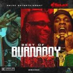 Dj Selex Best of Burna Boy Art