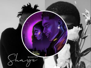 The Best Nigerian Songs in 2022 Q3