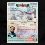 Lojay Canada ft DJ Maphorisa Kabza De Small Herc Cut The Lights