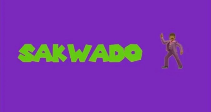 Tiktok Song – African Songs SAKWADO Sped Up