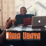 MwanaFA Ft. Harmonize Sio Kwa Ubaya vd