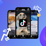 Discover Mummy Am Sorry I Don Follow Them Do Fraud