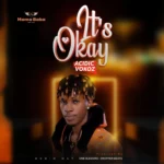 Acidic Vokoz – It’s Okay