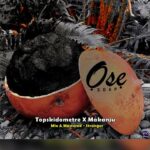 Topskidometre – Ose Ft. Makanju