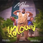 Milzic – Yalowa Ft. Dizmo & Selemanyo