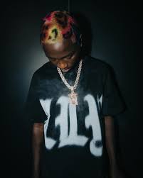 TML Vibez – Stay Fly