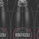 B.Nolo – Beng’phuzile Ft. Olefied Khetha, Mzulu Kakhulu, T.M.A_Rsa, Malume.hypeman & Professor