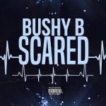 Bushy B – Scared