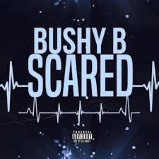 Bushy B – Scared