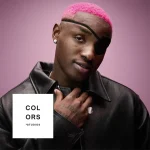 Toro (A COLORS SHOW) by Ruger