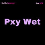 Dwillsharmony – Pxy Wet Ft. Saqi NFG