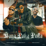 Fiso El Musica – Baya Poka Poka Ft. LeeMcKrazy & Sims Makoya