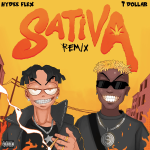 Hydee flex – Sativa (Remix) Ft. T Dollar