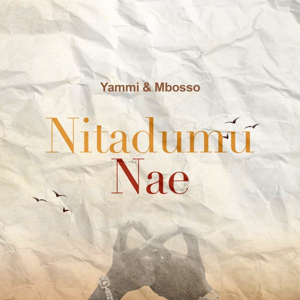Yammi – Nitadumu Nae Ft. Mbosso
