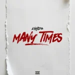 Kayode – Many Times