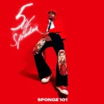 Sponge 101 – Bazozwa ft. DBN Gogo & Msongi