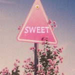 Bruce africa – Sweet