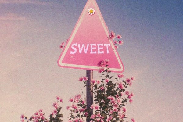 Bruce africa – Sweet