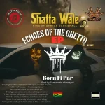 Shatta Wale – Lonely Victory