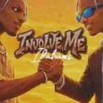 Idahams – Involve Me Idahams – Involve Me